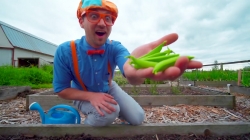 گشتی در مزرعه حیوانات و سبزیجات با بلیپی